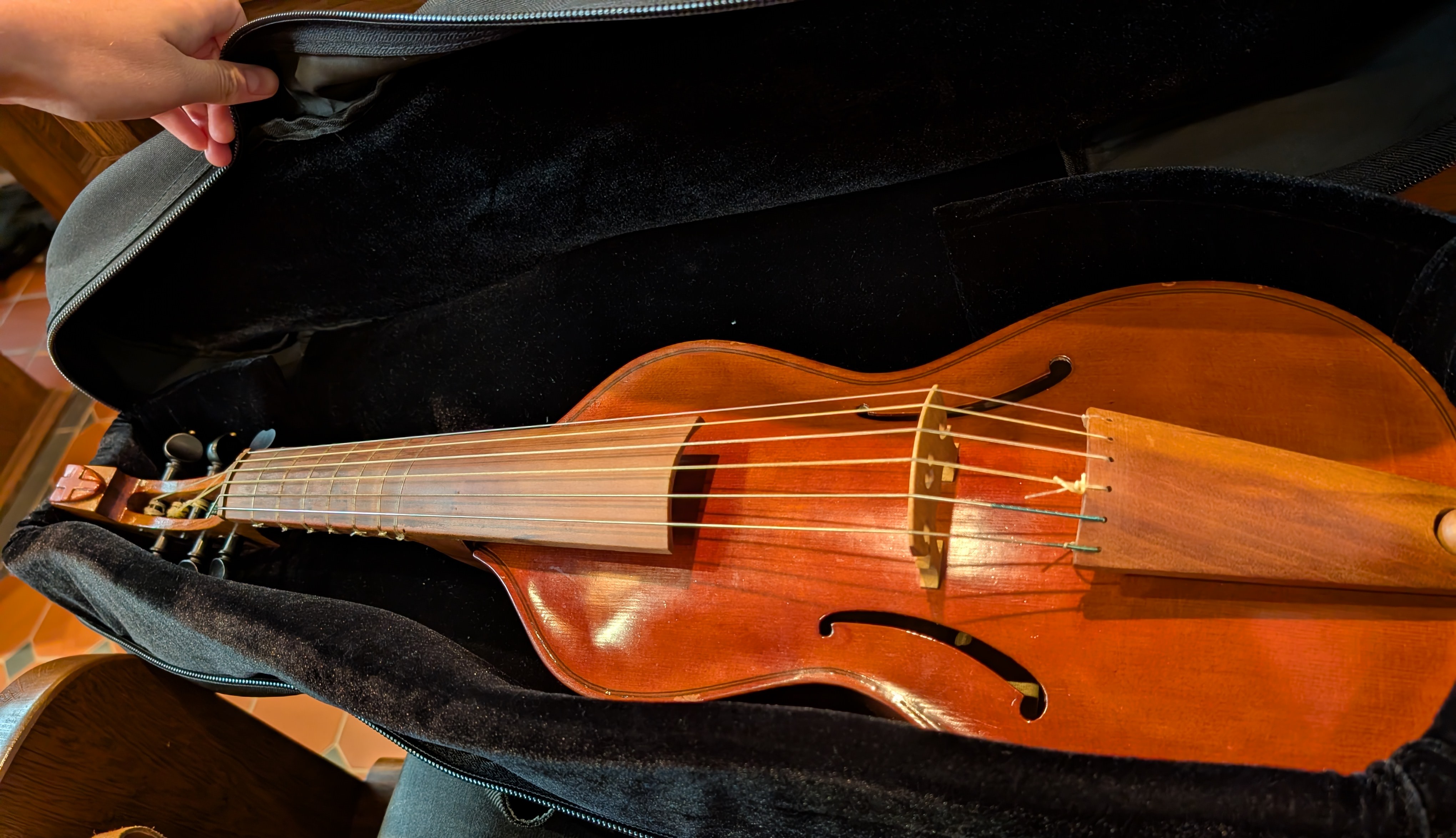 A treble viol in its soft case.